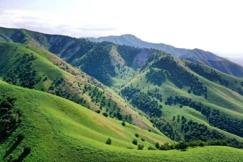 乌孙@天上的天山-走过乌孙