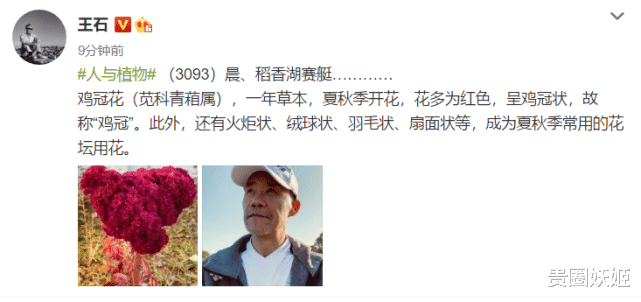 田朴珺|王石素颜近照显苍老,满脸老人斑瘦出褶子,田朴珺则胖太多忙瘦身