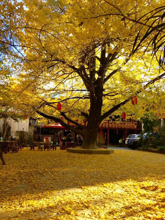 丹东|十条自驾路线“燃爆”金秋，每条都让人疯狂心动，实在是太惊艳！