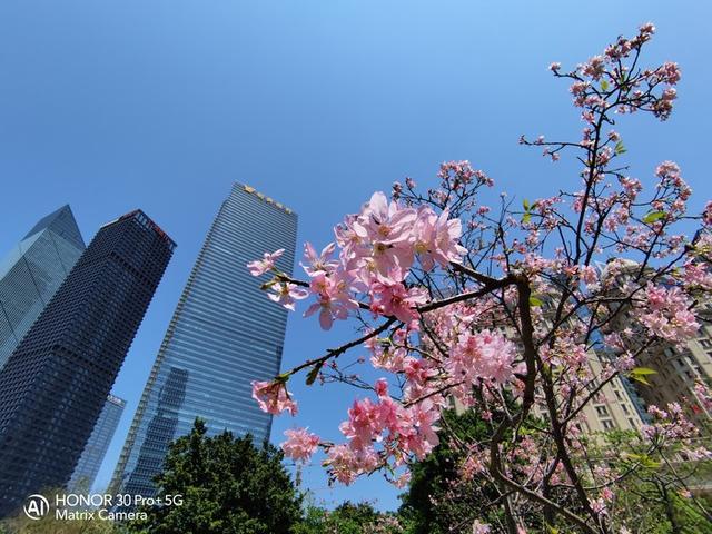 5g手机|5G手机哪款好？最值得入手的5G手机大对决