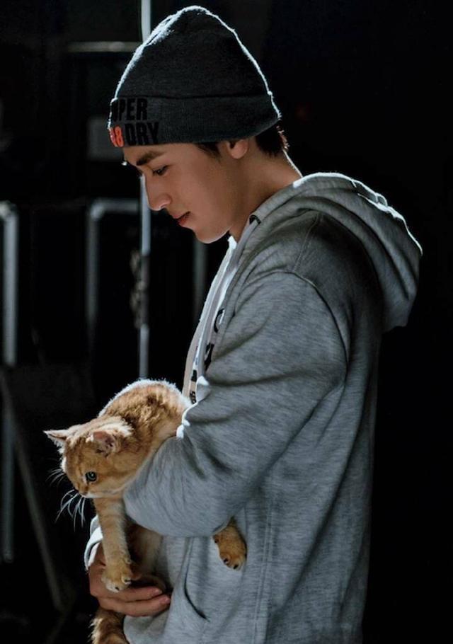 许魏洲▲4年逼退两位顶流,2020又来一次,娱乐圈洗牌往事件