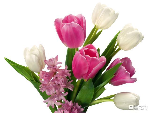 #生肖#在6月下旬，巧遇爱情，倍感珍惜，不离不弃的三大星座