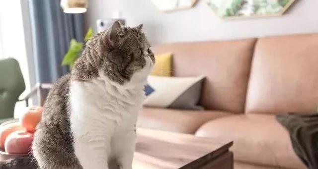 120㎡竟然能改造出两个客厅，打造舒适居！