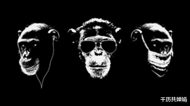 黑洞|不看、不听、不说的三不猴，多国都有其来源，是历史上的巧合吗？