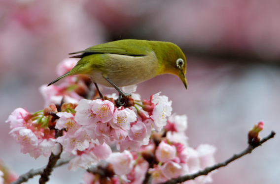 「运势」进入7月份，4属相迎来运势上上签，工作顺心，薪水大涨，喜事连连