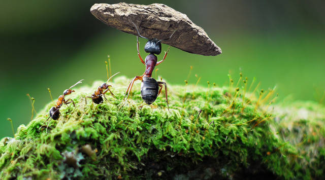 「运势」熬完5.1，3大属相隔三差五走好运，事业不断晋升，财门打开