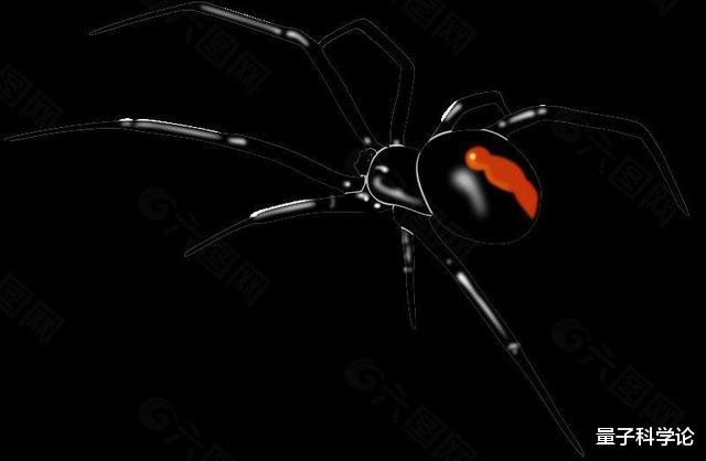 后代■交配后，为了防止被雌性吃掉，这种生物的雄性甘愿“自宫”