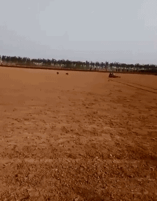 |老板娘总叫我去她办公室，我不想去了