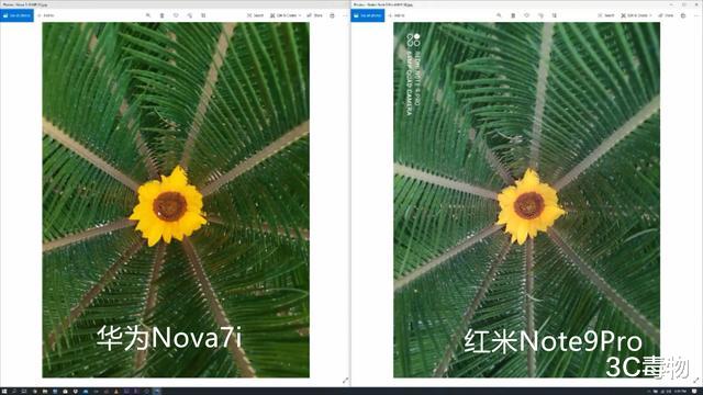 |华为Nova7i和红米Note9Pro拍照对比：都是4800万镜头差距依然很大