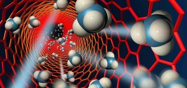 卢柯|这位教授创造了最年轻院士纪录，担任高官却因何引发全民争议？