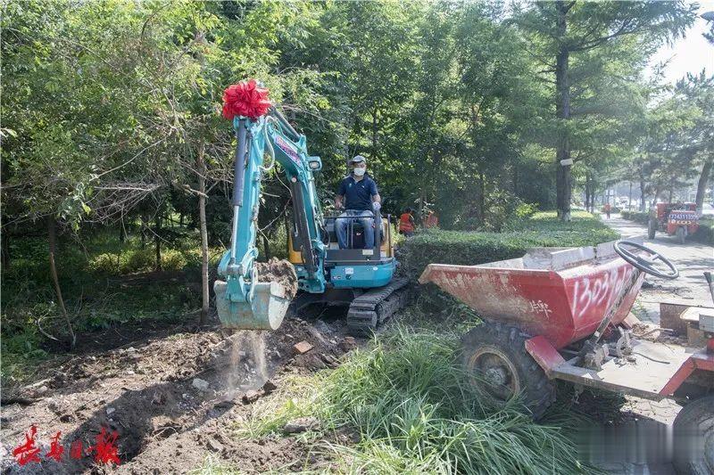 #地方时政#南湖公园15天后又有大变化！