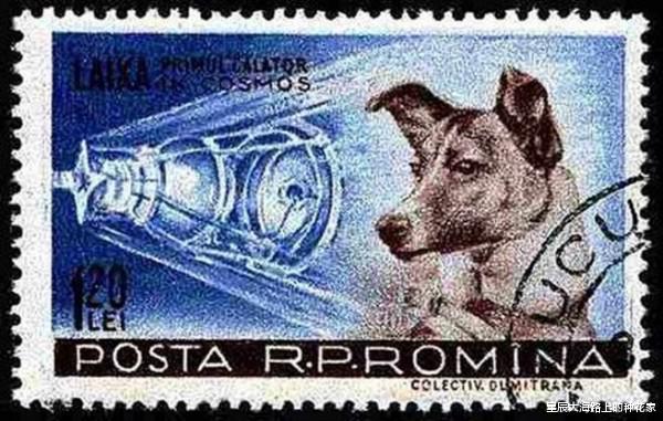 【太空】50多年前,第一位被人类送上太空的猩猩宇航员,后来怎么样了?