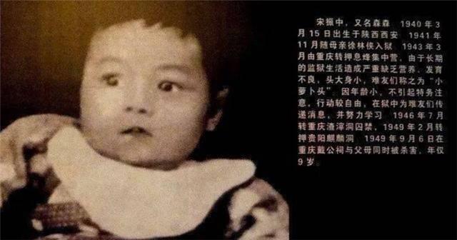 武当山|“小萝卜头”宋振中：8个月入狱、9岁牺牲，如今家人怎么样了？