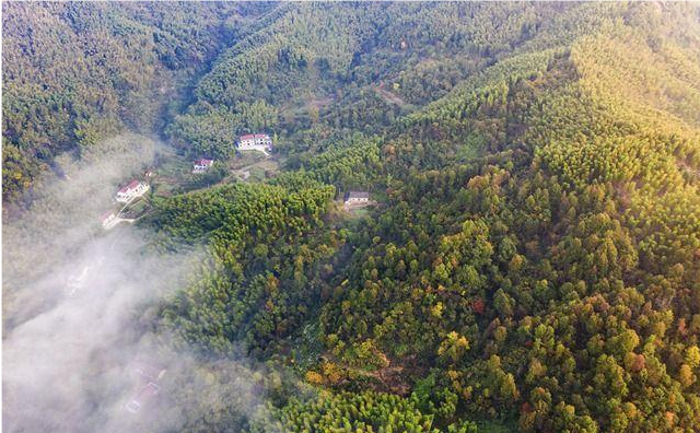 江浙沪|江浙沪“最美的”自驾游路线