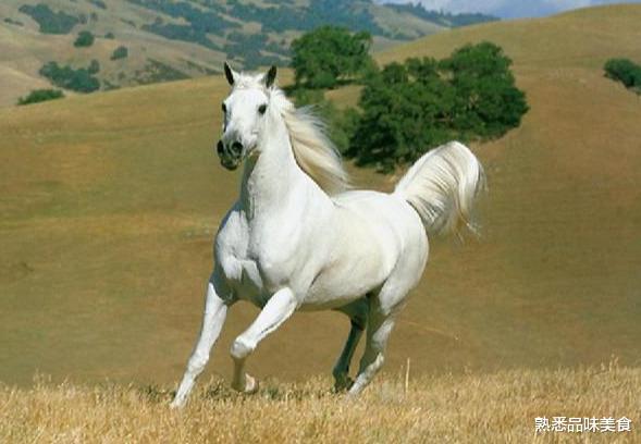 借条|曾仕强：全世界订条约都不敢用中文，为什么？西方人永远不会懂