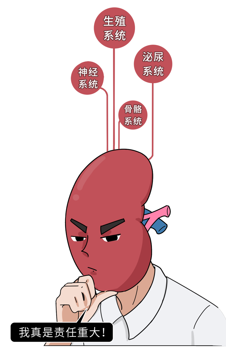 肾虚|致男人：肾虚到来时，身上有这10个“蛛丝马迹”，一次性告诉你