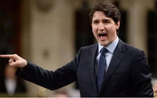 #加拿大#3626万吨!巴西成功拿下中国订单,加拿大:要采取行动了