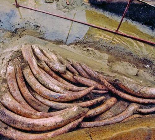 趣观历史|19年前四川挖出逆天文物，含金度94.2%，出土后却无人拿走