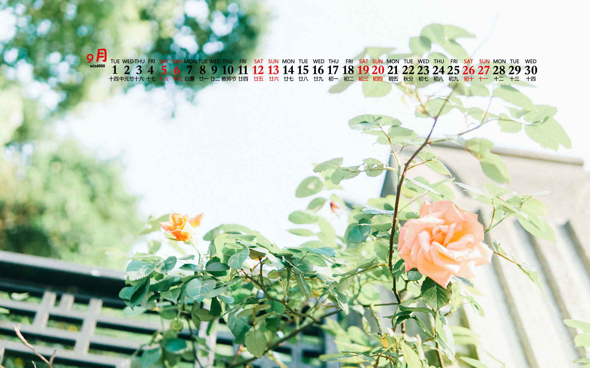 运势|从周末开始，运势越来越旺，会福财两旺，不枉此生的三大星座