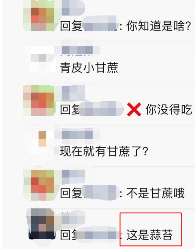 甘蔗|这种零食快绝迹了，网友直呼没见过