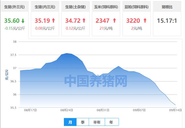果然悠|猪价“塌方式”下跌，又有好消息，猪肉降到10元有眉目了