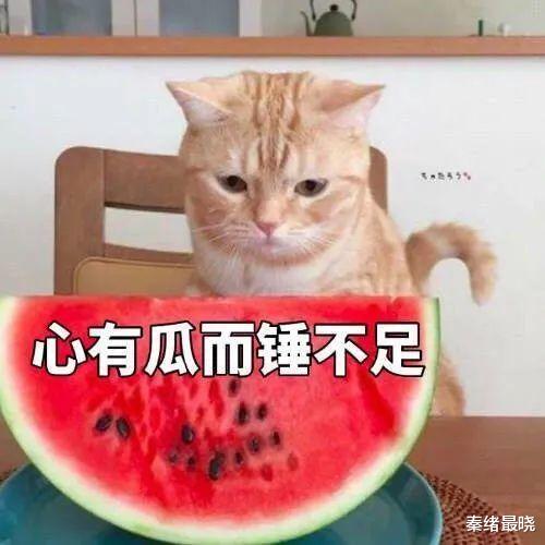 爱马仕|晚晚硬凹富婆人设又遭打脸了？背共享爱马仕，就连晒的豪宅也是……