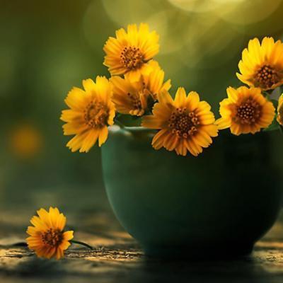 处女座|提到这些星座，下半年运势会非常好，来看看有没有你