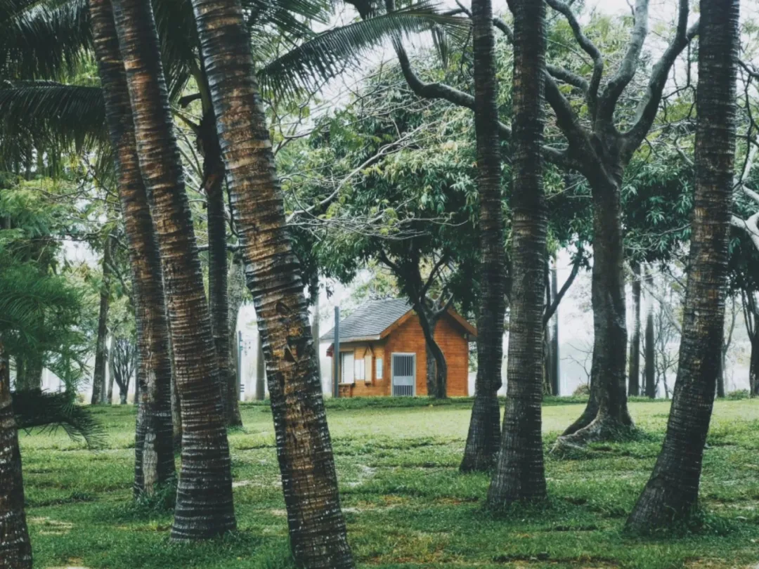 ▲世界上最不可能的两个星座在一起了