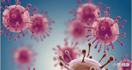 核糖核酸|乙肝在研新药两项靶点，核糖核酸酶H或核心抑制剂，详解作用机制