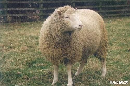 生物学：为何至今很少有人再提克隆？看看克隆羊“多莉”的下场，就懂了