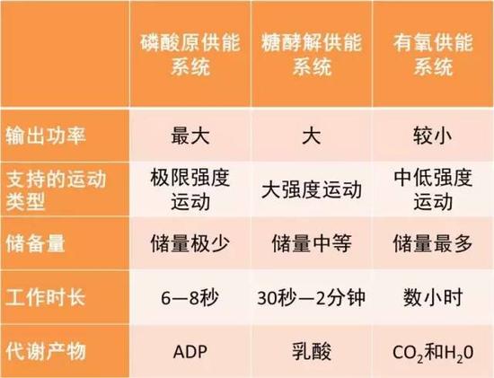 [无氧运动]为什么我不建议大家用高间歇无氧运动作为主要的减脂运动