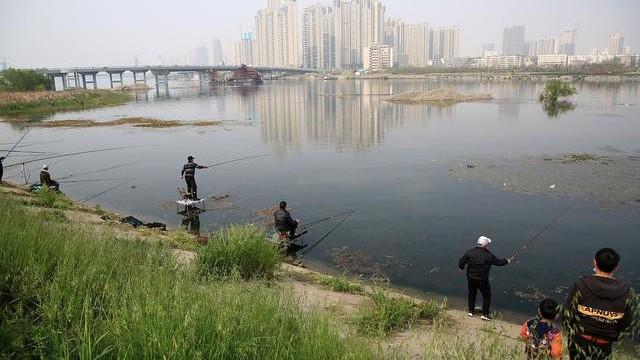 |秋末初冬钓鲫鱼，做好这五点, 新手也一样爆护---皇禾钓具