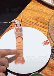 |“在网上加了一个女友,马上就要奔现了,好紧张”哈哈哈哈哈哈哈