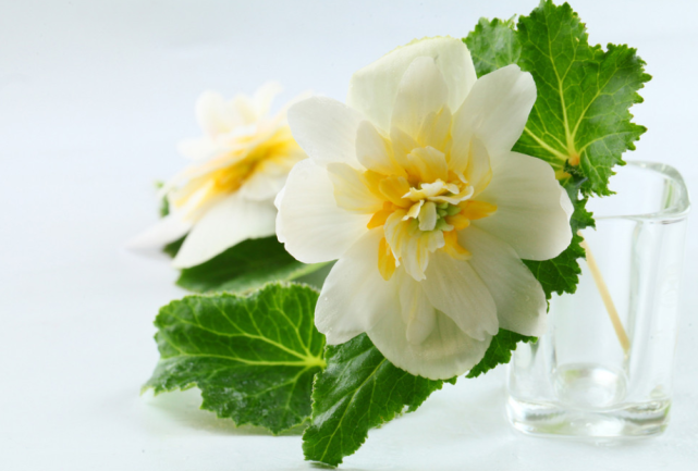 处女座|做人有底线，再爱也不当备胎的星座，要么掌控全局，要么趁早远离