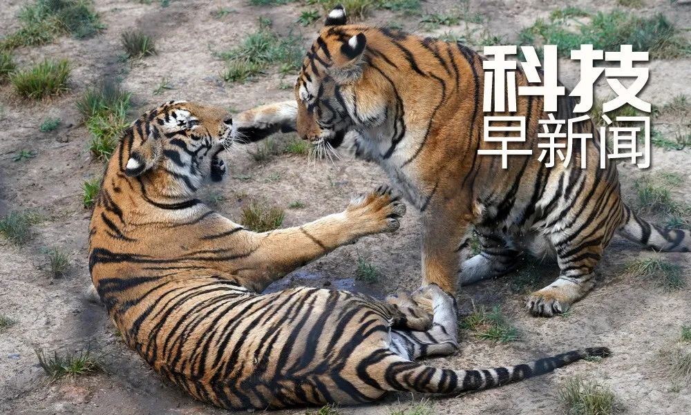 火星|“天问一号”探测器传回地月合影;人类首次发现火星上巨型沙丘在移动丨科技早新闻