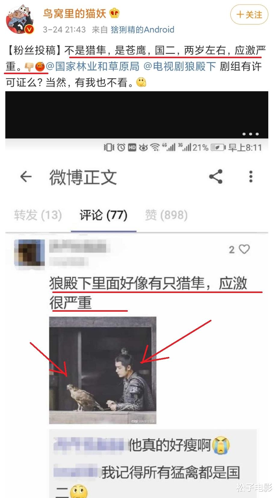 狼殿下|肖战《狼殿下》疑用二级保护动物拍戏，这3点证明它不是CG动画