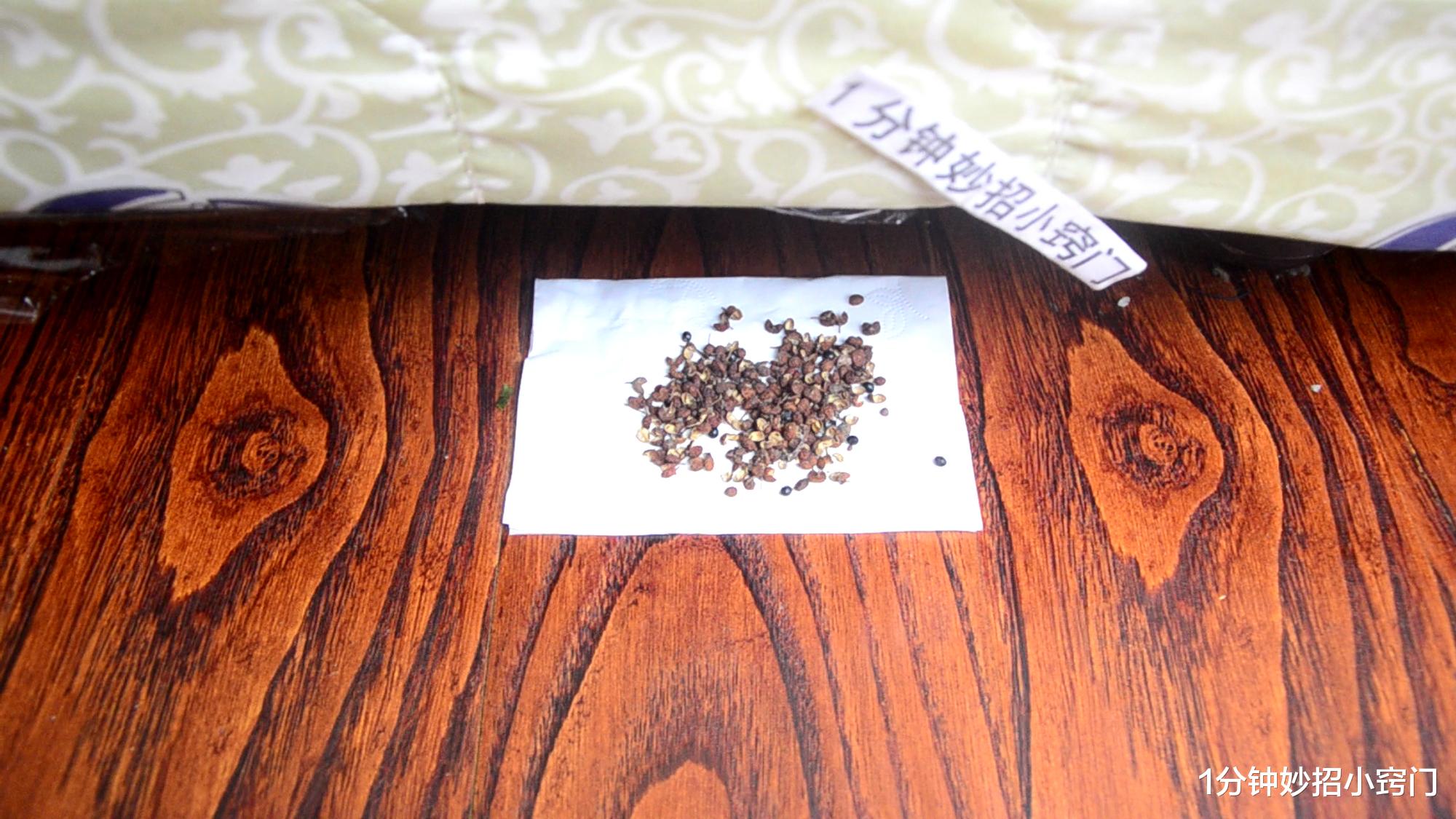 花椒|不管家里有没有钱，记得在床底撒把花椒，好多人不清楚，涨知识了