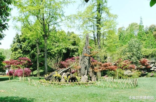 三星堆|三星堆是外星人在地球建的基站？真相揭秘后，地球人被夸了