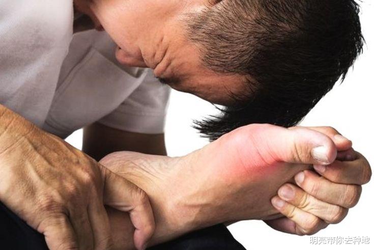 [痛风]食物“高嘌呤”榜单，再馋也要“管住嘴”，痛风或能绕道走