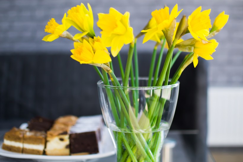 生肖▲7月中旬，顺利挽回爱情，姻缘逃不掉，再续前缘的四大生肖