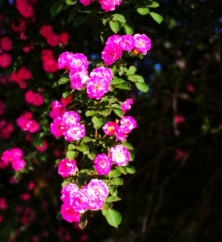 金牛座|步入10月，4属相咸鱼大翻身，人旺财旺事业旺，生活幸福美满