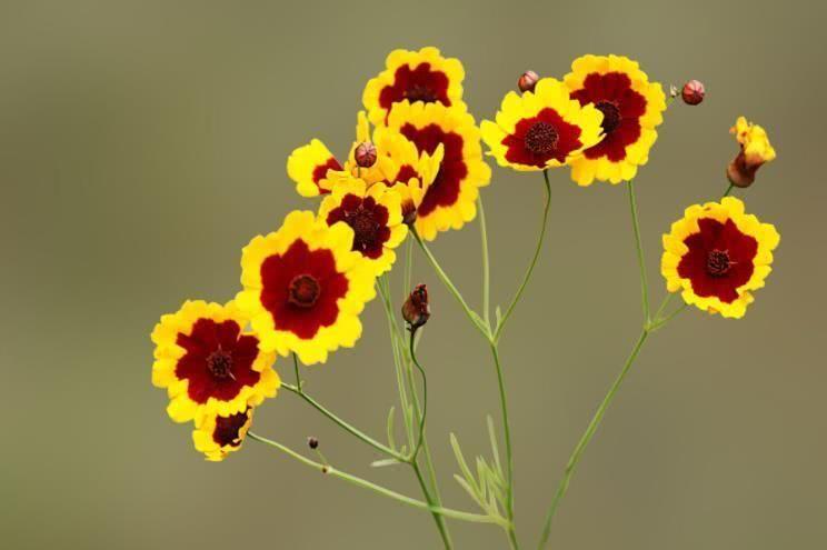 运势|10月开始，运势上涨，横财滚滚，富甲一方的四大属相