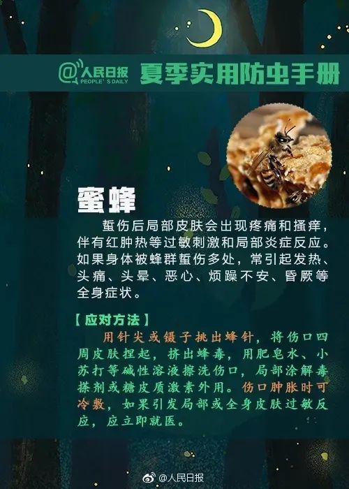 [肺炎]发烧半月还出现“大白肺”！新冠肺炎？起因竟是一只小虫子
