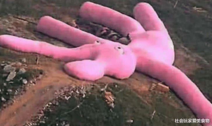 [兔子]还记得那只被卫星拍到的巨型兔子吗？如今它已经走到了生命的终点