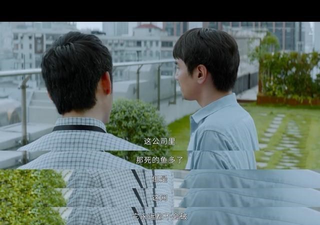 平凡的荣耀|《平凡的荣耀》里,高薪高招聘要求的金融公司,真实职场存在吗?