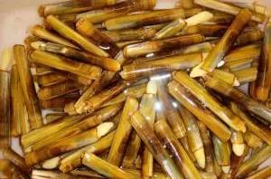 鱿鱼|开海了！这84种海鲜，你都认识吗？