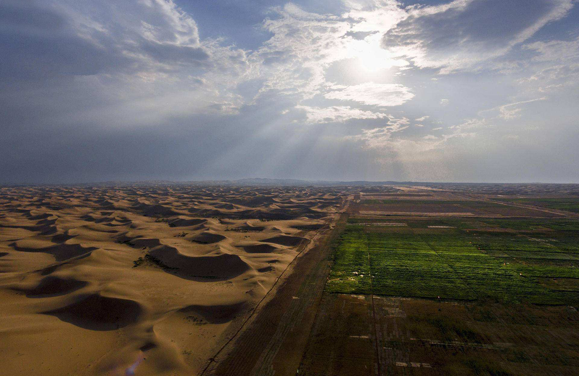 化石|如果地球上所有沙漠变成森林，地球会怎样？原来后果这么严重