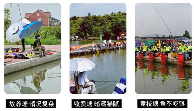 「」新手玩黑坑想“上岸”，给你4个中肯的建议，拒绝被忽悠