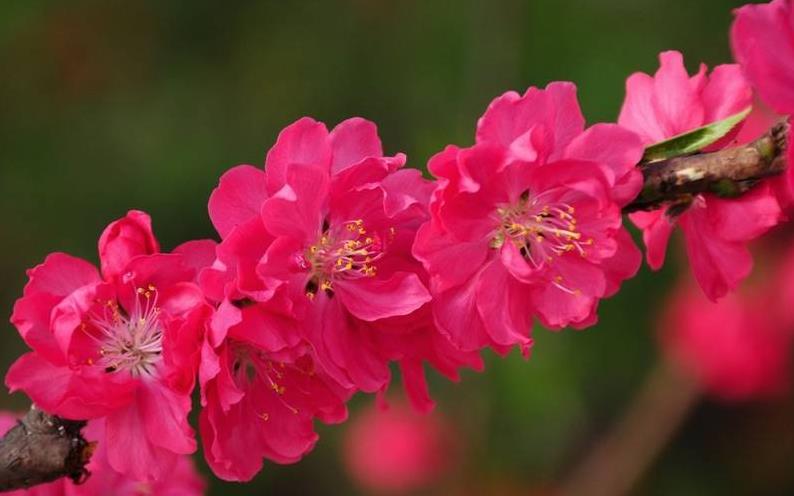 [运势]6月12日，运势上上吉，3生肖喜中头奖，财运事业高升连连