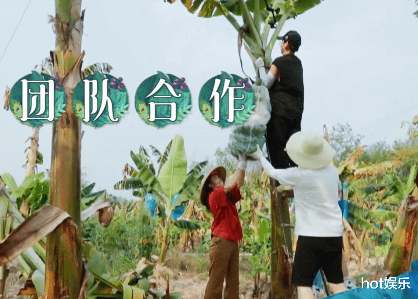 「黄磊」向往的生活：黄磊做饭速度跟不上，节目组又悄悄为嘉宾点外卖